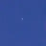 Profile image of 도토레