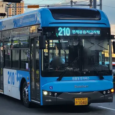 Profile image of 210