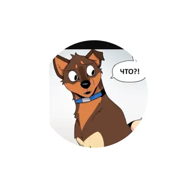 Profile image of 잭코