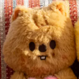 Profile image of 한지성