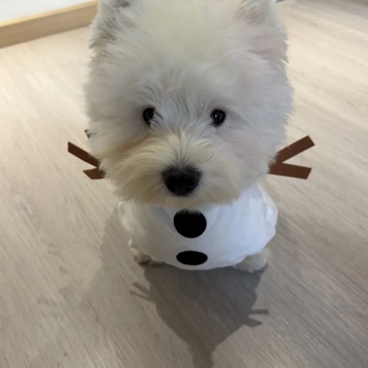 뺏김. 대표 이미지