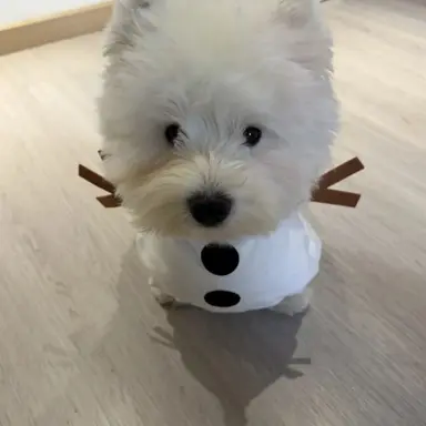 Profile image of 박성호