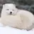 아이브