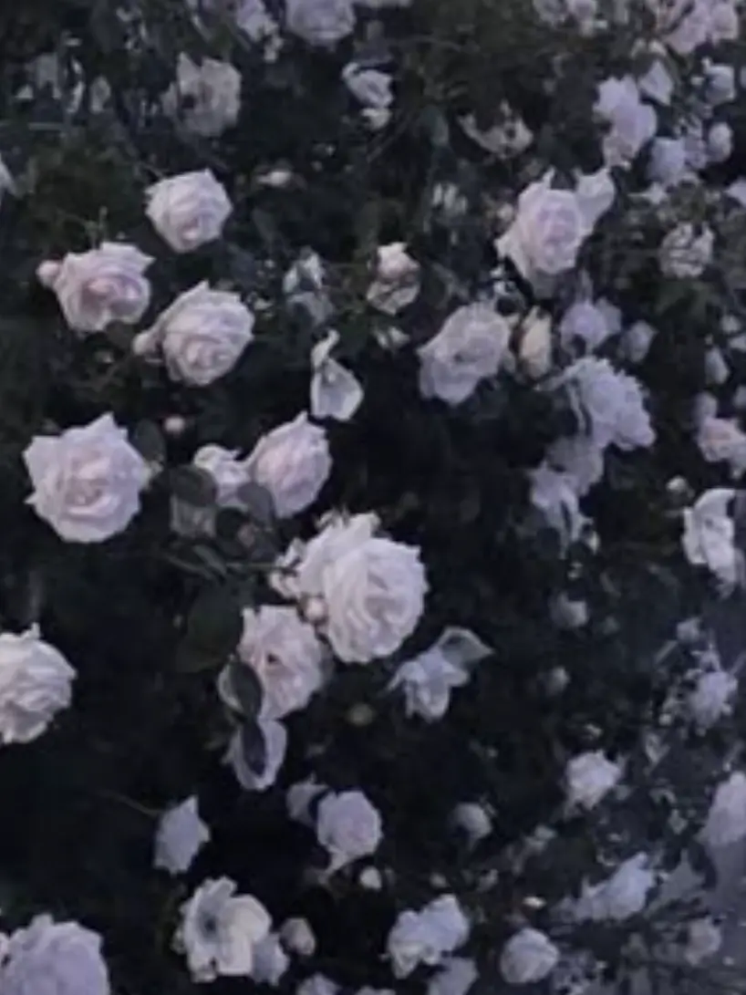 FieryFrame4881의 Mellow & Ethereal: I'm Here for You