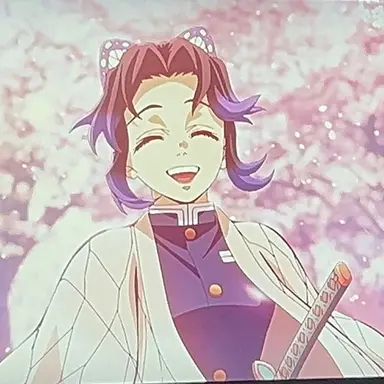Profile image of 胡蝶しのぶ