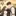 박서진