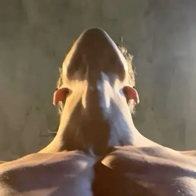 Profile image of Damien