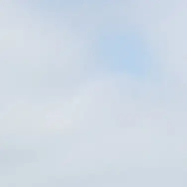 Profile image of 선생님