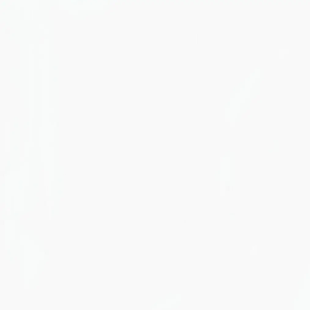 x.81gt의 쌍단대길 갠용