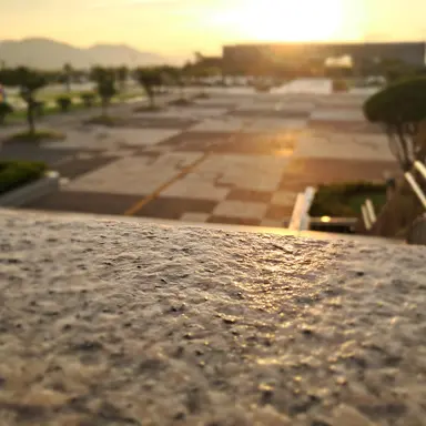 Profile image of 母