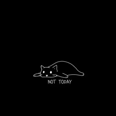 Profile image of User