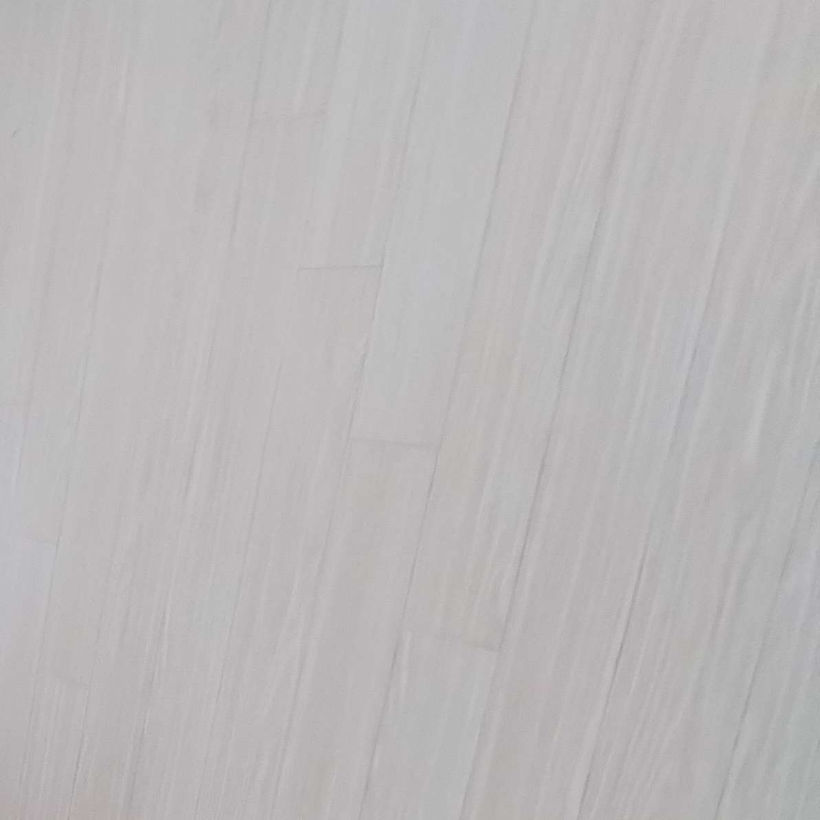 팀대고 초능력 계급학교!+늑대,여우 대표 이미지