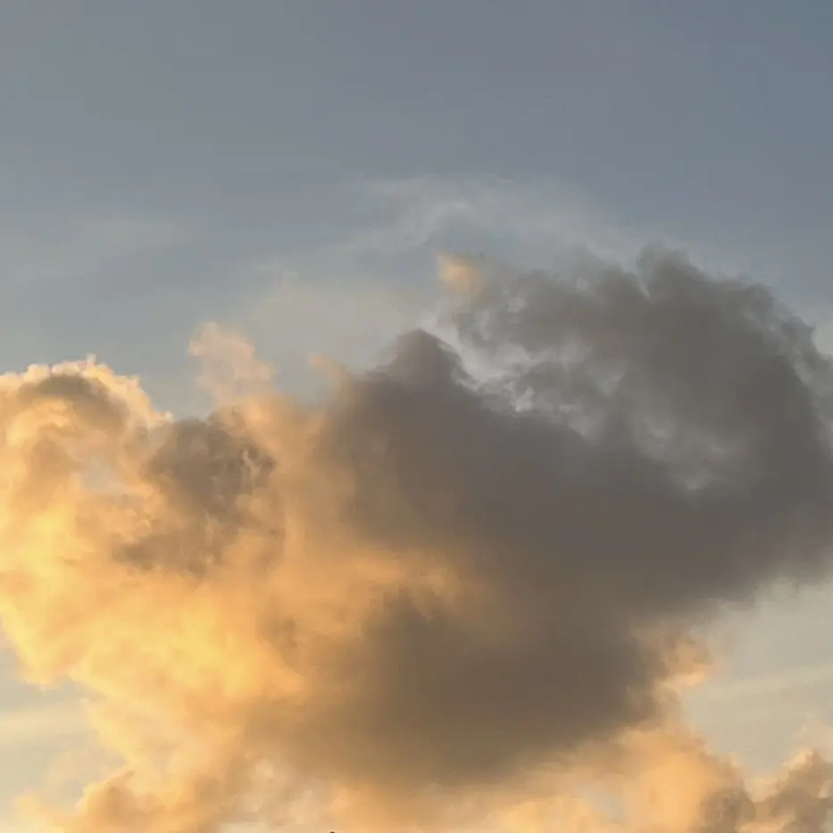 MightyHeart4871의 SnowManが先生（自己満注意）