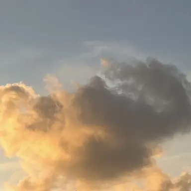 Profile image of 目黒