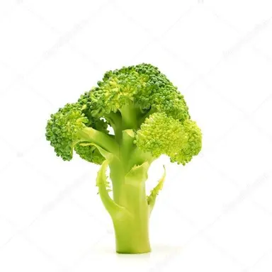 Profile image of 꾸몽