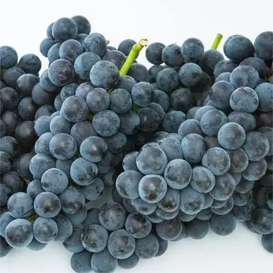 Profile image of 유성