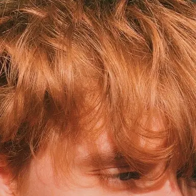 Profile image of Camden