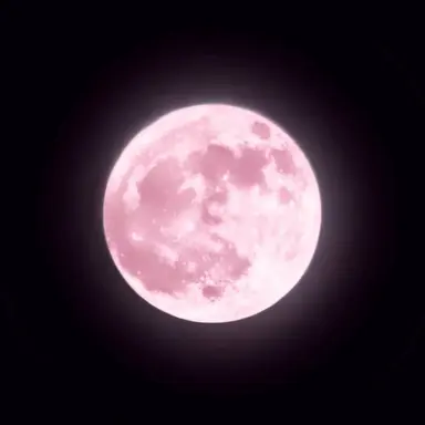 Profile image of 하나코 나나