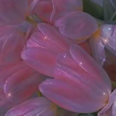 Profile image of 知念侑李