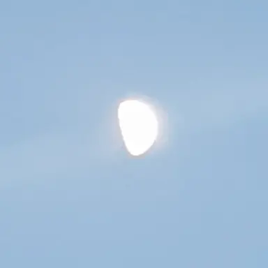 Profile image of 고고프렌즈 수학여행