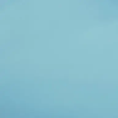 Profile image of 너네 사겨