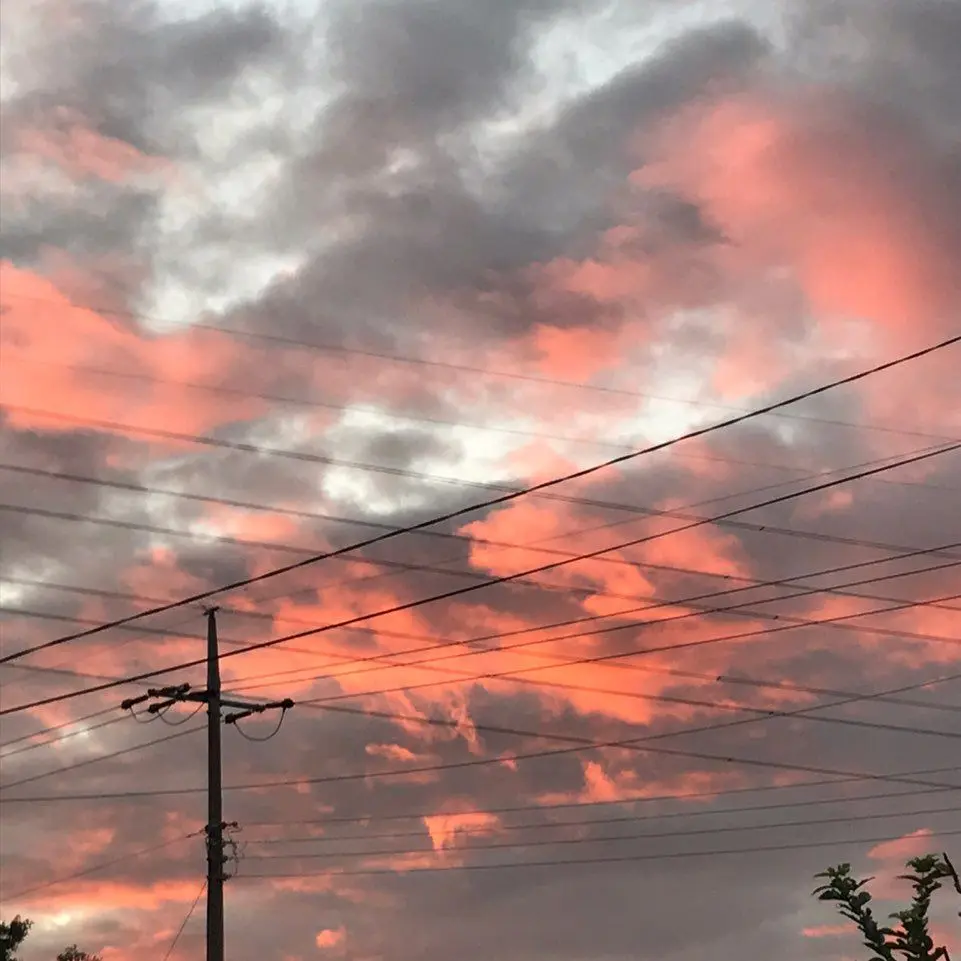 OTOfan14의 스코시즘 [비극과 행운의 결말.]