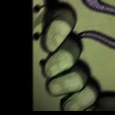 Profile image of 데칼코만