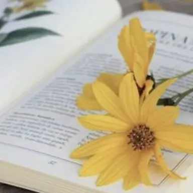 Profile image of 김각별