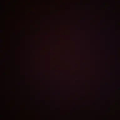 Profile image of Boss