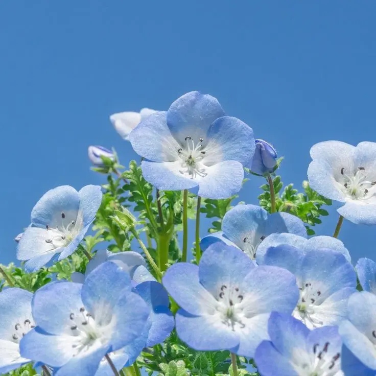 RunnyBarn7736의 ㅎ핳ㅎ