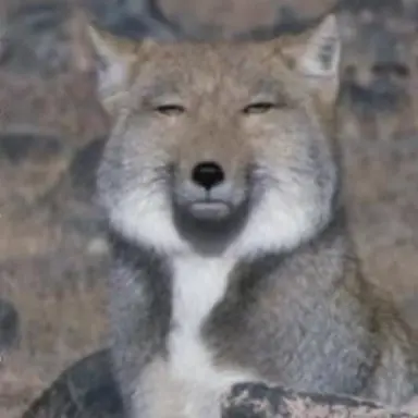 Profile image of 해설