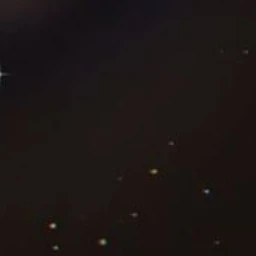 벌레