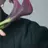 渡辺翔太