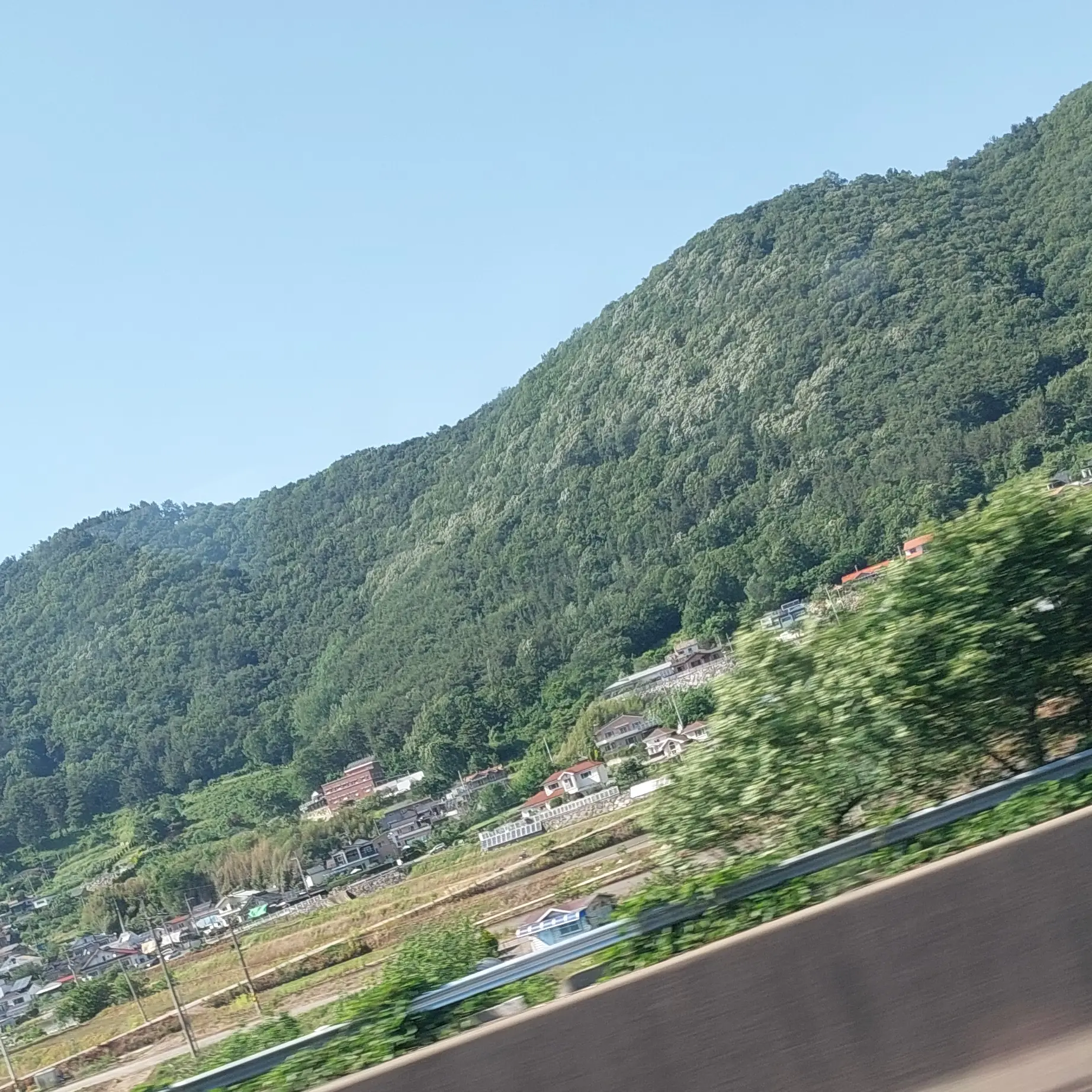 BoldStool5856의 ㅌㅅ6