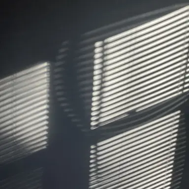 Profile image of 크세니야