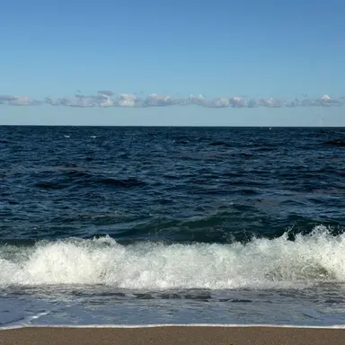 Profile image of 잠뜰 경위