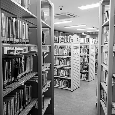 Profile image of 공룡 경장