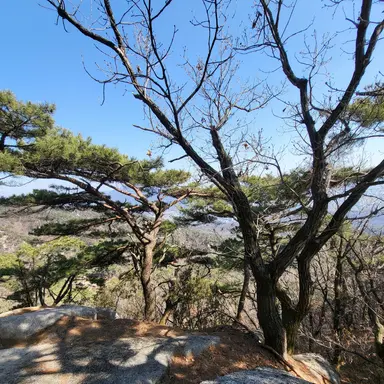 Profile image of 땅땅이