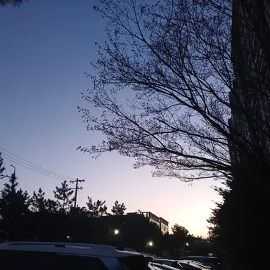 Profile image of 유기사