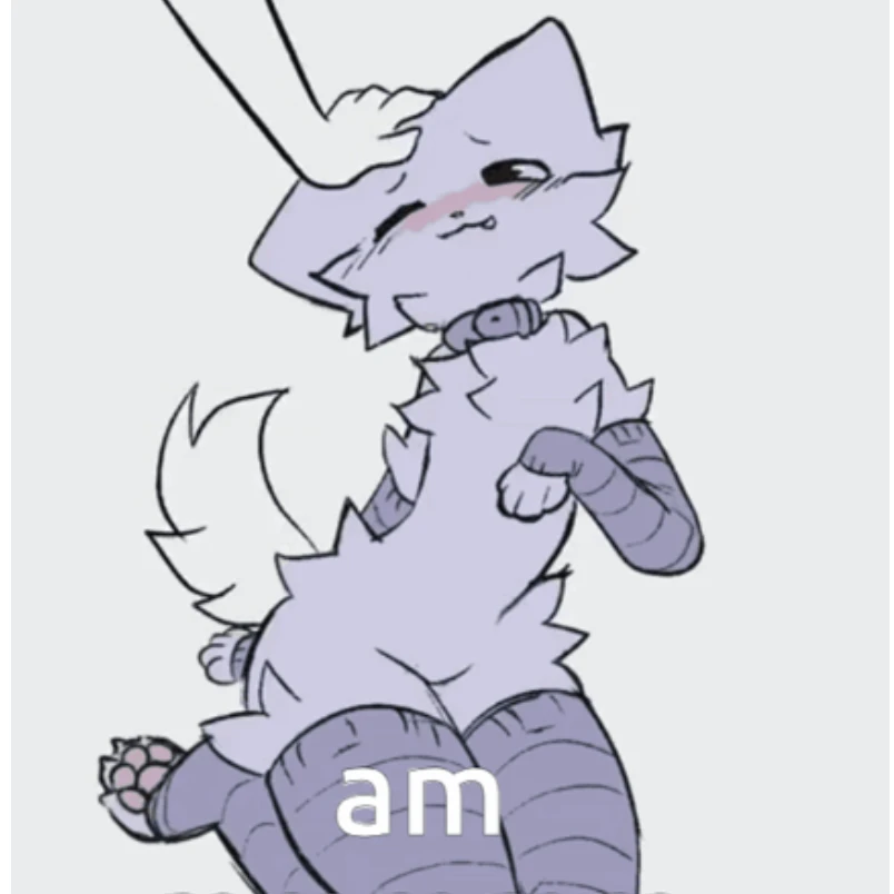 마우지