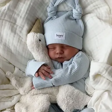 Profile image of Teddy