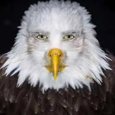 Profile image of Kylee