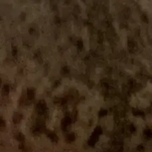 Profile image of Luke
