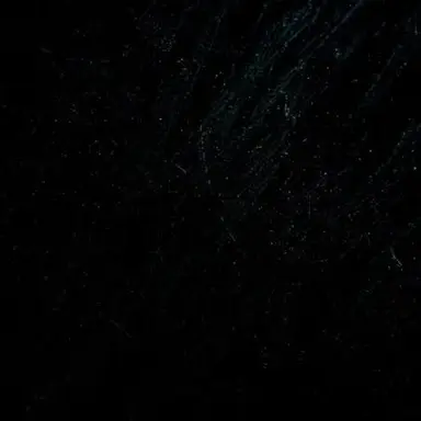 Profile image of 손성빈