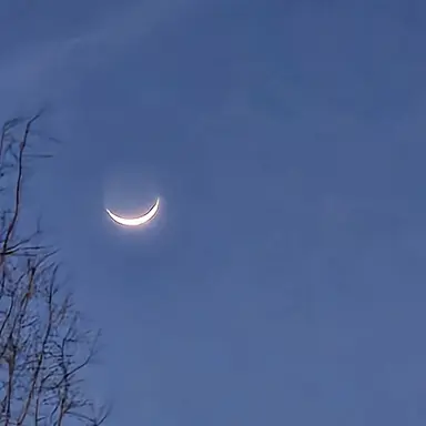 Profile image of 송바다