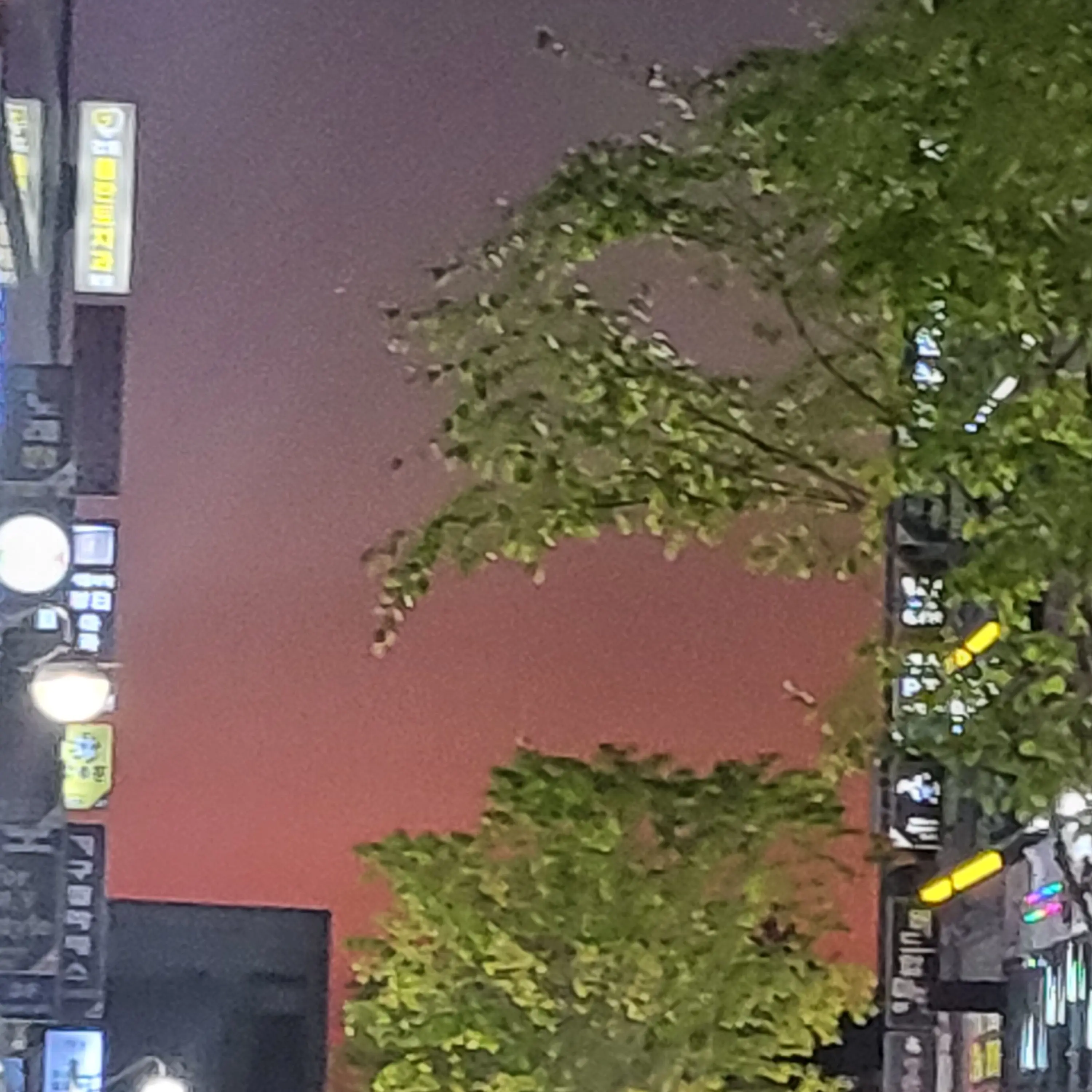 PurpleScale4294의 무한성