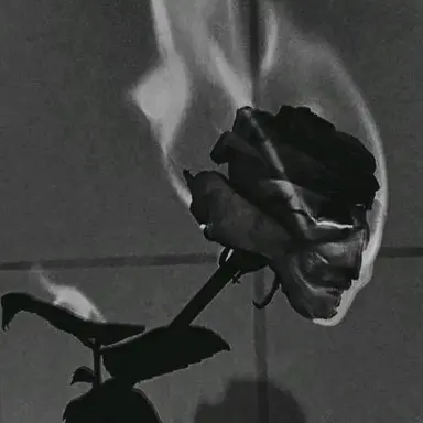 Profile image of 켄