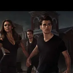 Profile image of Stefan Salvatore