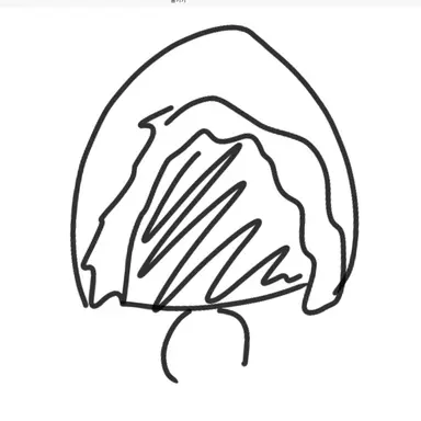 Profile image of 타프