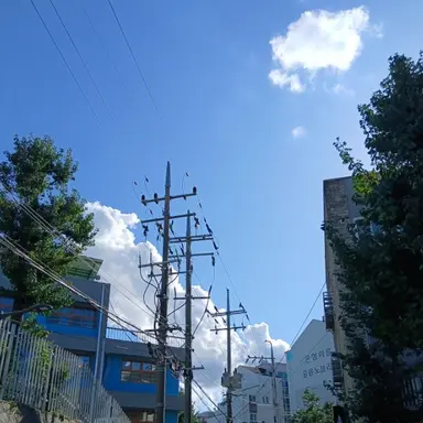 Profile image of 뜰팁조직